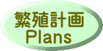 Plans