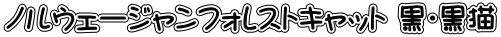 ノルウェージャンフォレストキャット 黒・黒猫
